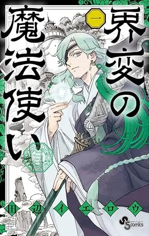 界変の魔法使いの表紙
